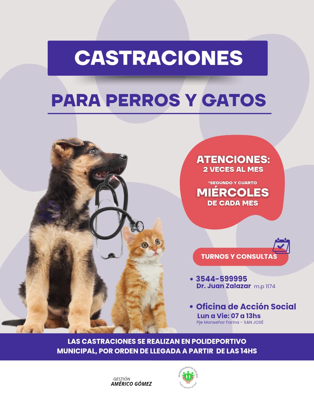 SAN JOSÉ: CASTRACIONES  Para perros y gatos